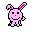 lapin